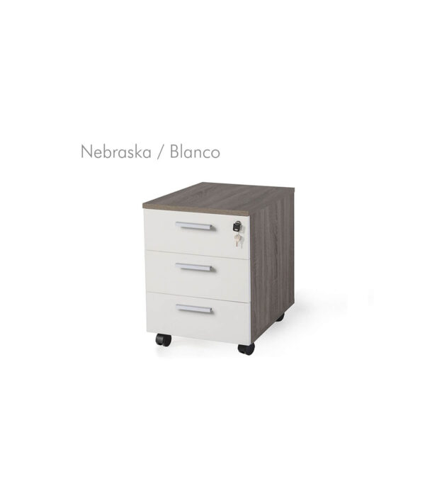 Cajonera móvil 3 cajones metal bicolor G3 EJECUTIVA - Imagen 26