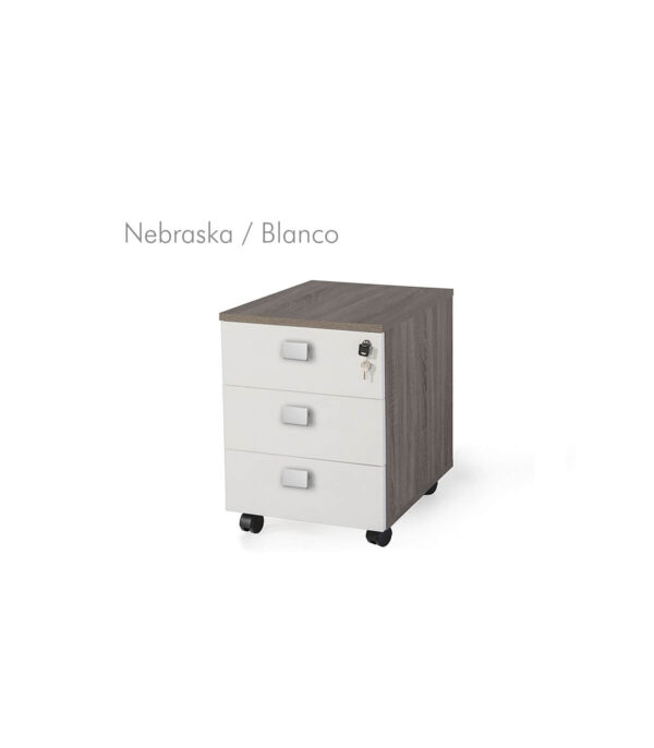 Cajonera móvil 3 cajones metal bicolor G3 EJECUTIVA - Imagen 27