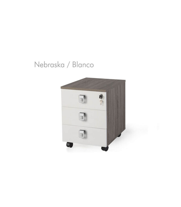 Cajonera móvil 3 cajones metal bicolor G3 EJECUTIVA - Imagen 28